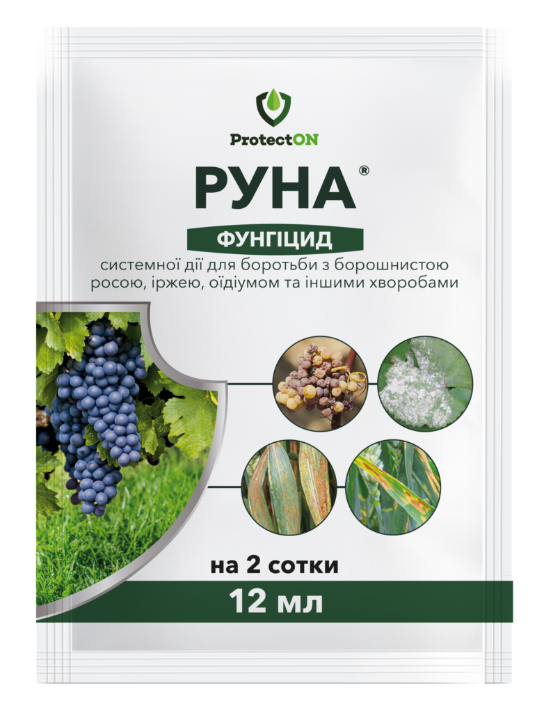 Руна