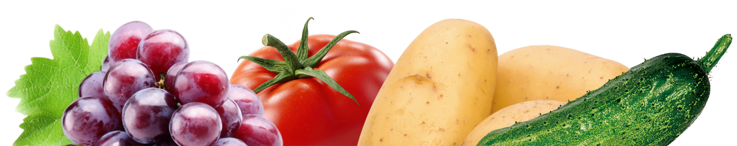 Акробат МЦ - Культури