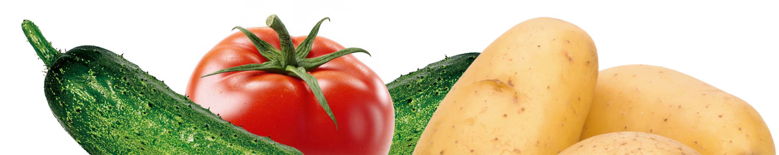 Орвего - Культури