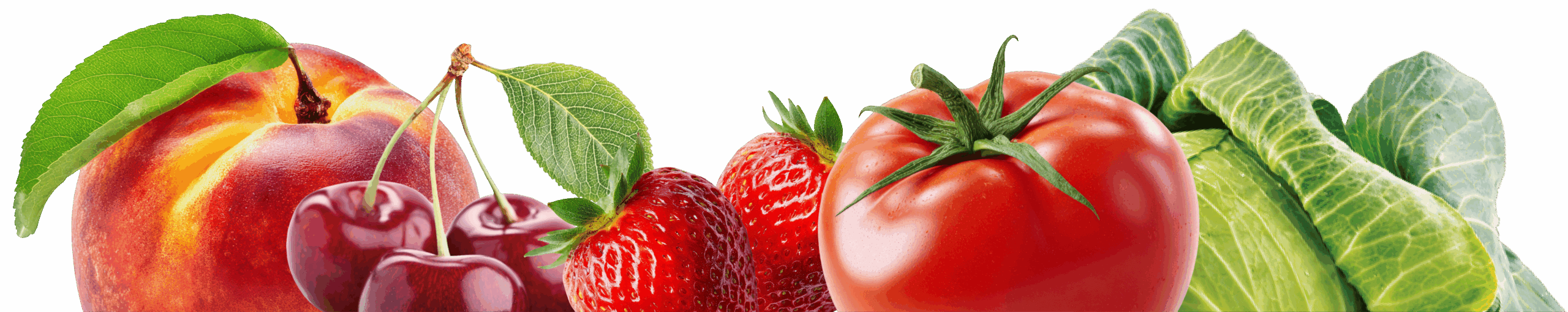 Сігнум - Культури